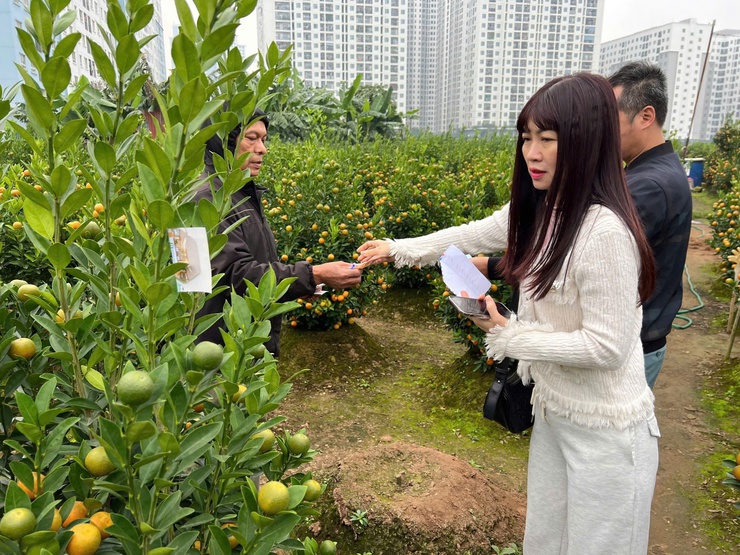 SẮC XUÂN ĐÔNG NGẠC- Ảnh 2.