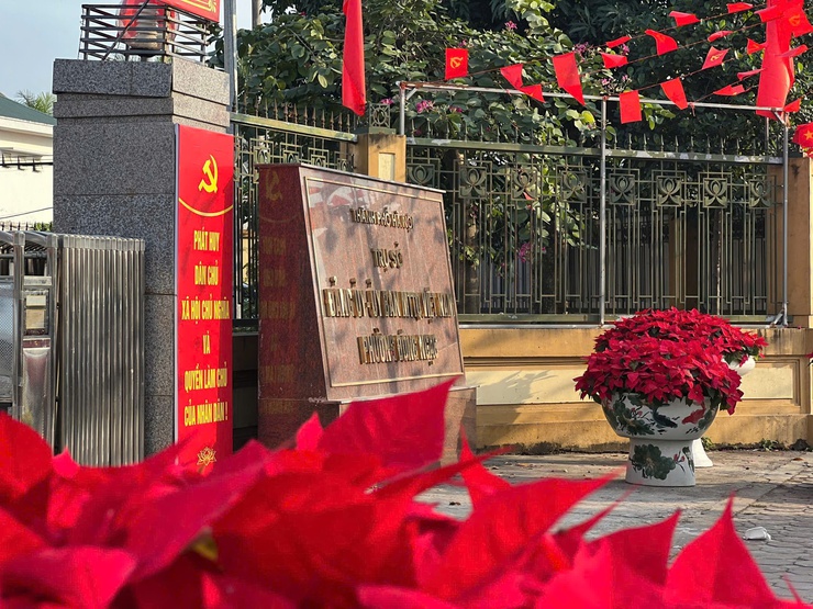 SẮC XUÂN ĐÔNG NGẠC- Ảnh 4.