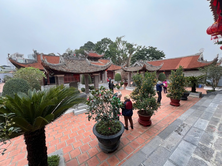 ĐÔNG NGẠC MÙA XUÂN VỀ- Ảnh 5.