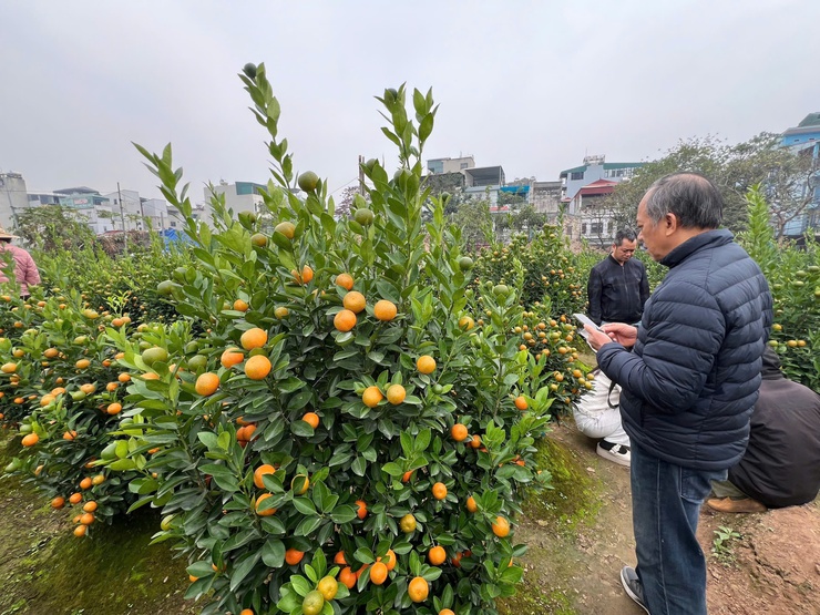 ĐÔNG NGẠC MÙA XUÂN VỀ- Ảnh 3.