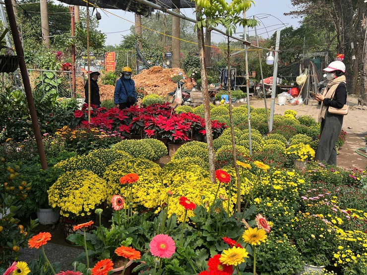 ĐÔNG NGẠC MÙA XUÂN VỀ- Ảnh 2.