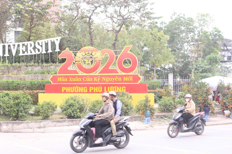 Phường Phú Lương rực rỡ cờ hoa chào mừng tết Nguyên đán Bính Ngọ 2026- Ảnh 1.