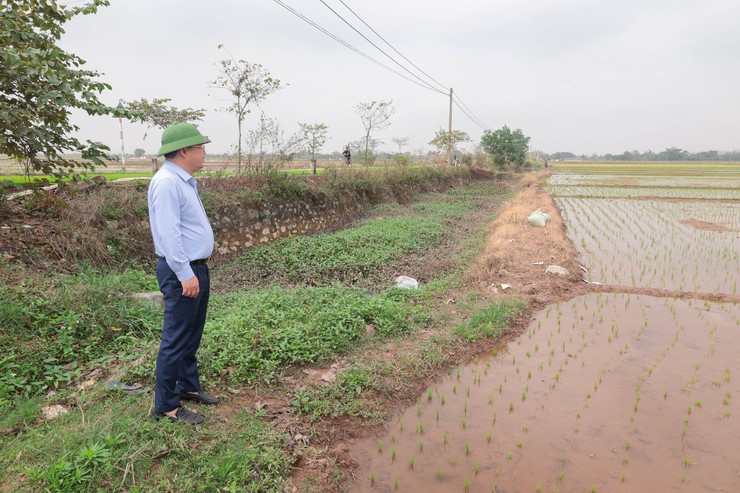 Đồng chí Bí thư Đảng uỷ - Nguyễn Mạnh Huy thăm đồng,kiểm tra sản xuất nông nghiệp trước thềm năm mới.- Ảnh 2.