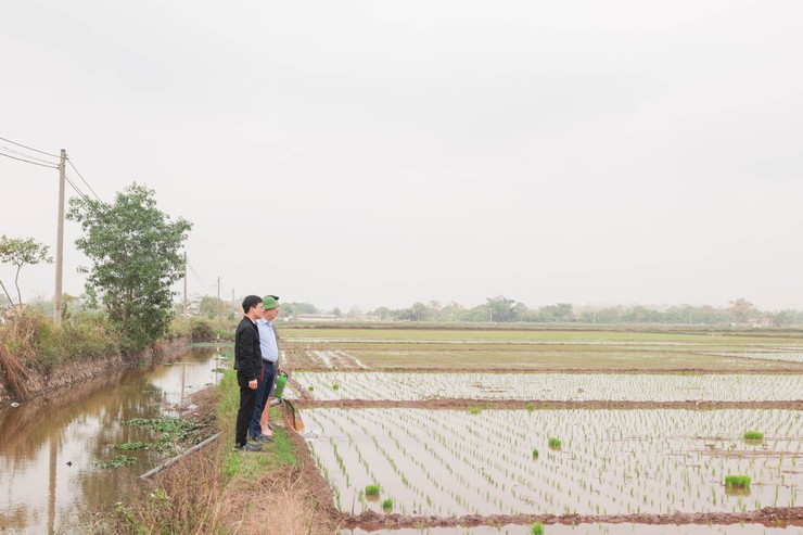 Đồng chí Bí thư Đảng uỷ - Nguyễn Mạnh Huy thăm đồng,kiểm tra sản xuất nông nghiệp trước thềm năm mới.- Ảnh 3.
