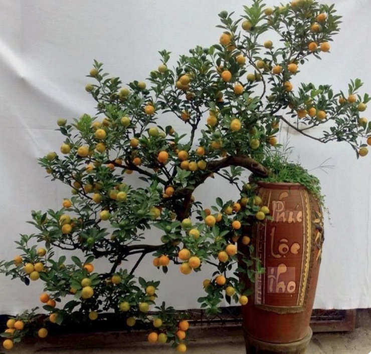 Những phong tục truyền thống của người Việt cho năm mới may mắn- Ảnh 1.