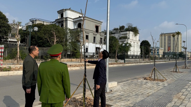 Bí thư Đảng ủy phường Xuân Phương kiểm tra công tác vệ sinh môi trường dịp Tết Nguyên đán 2026- Ảnh 2.