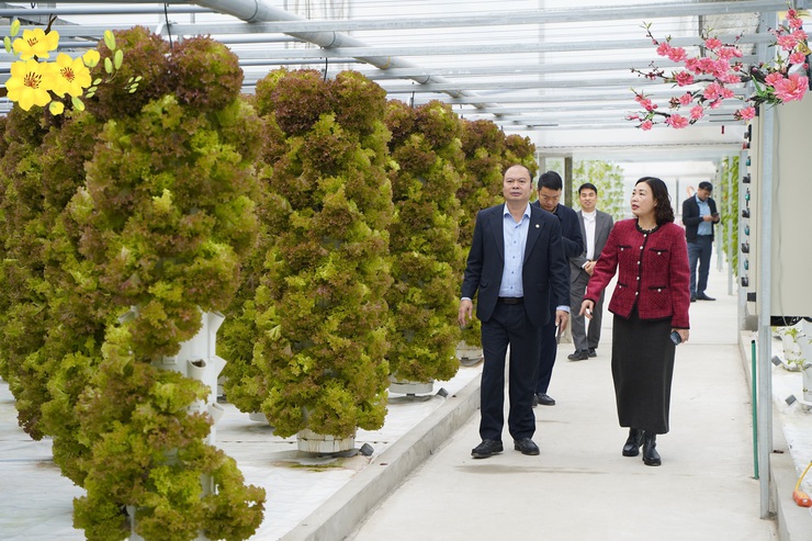 Nông nghiệp Chuyên Mỹ – Sẵn sàng bước vào xuân mới với khí thế vươn lên mạnh mẽ- Ảnh 1.