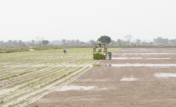 Nông nghiệp Chuyên Mỹ – Sẵn sàng bước vào xuân mới với khí thế vươn lên mạnh mẽ- Ảnh 2.