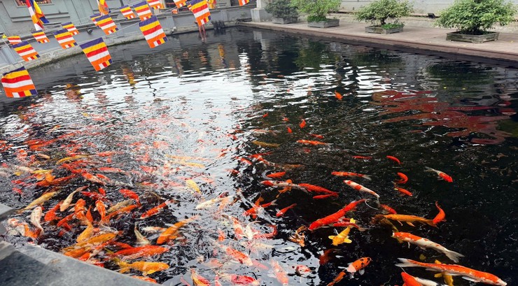 Chỉnh trang, mở cửa các di tích phục vụ Nhân dân du Xuân Bính Ngọ 2026- Ảnh 9.