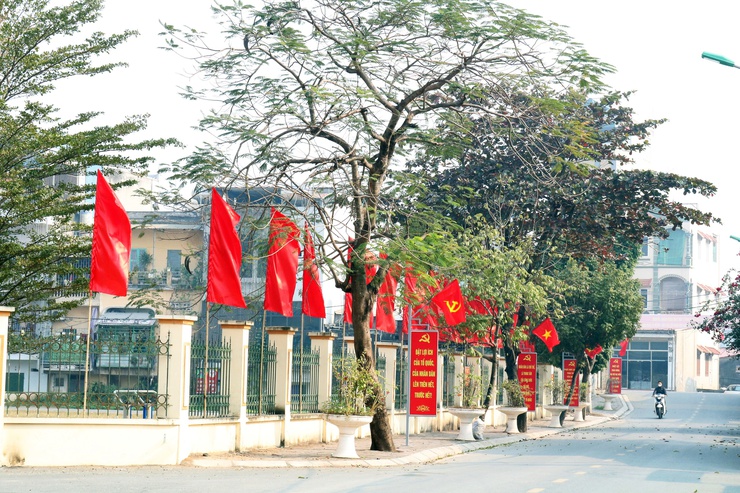 Quảng Bị: Rực rỡ, rạng ngời đón Xuân Bính Ngọ năm 2026- Ảnh 8.