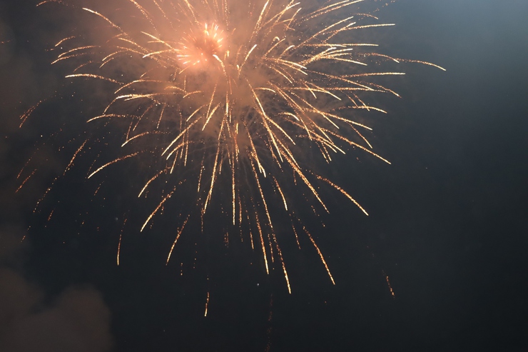 Chương trình nghệ thuật chào xuân Bính Ngọ- Ảnh 9.