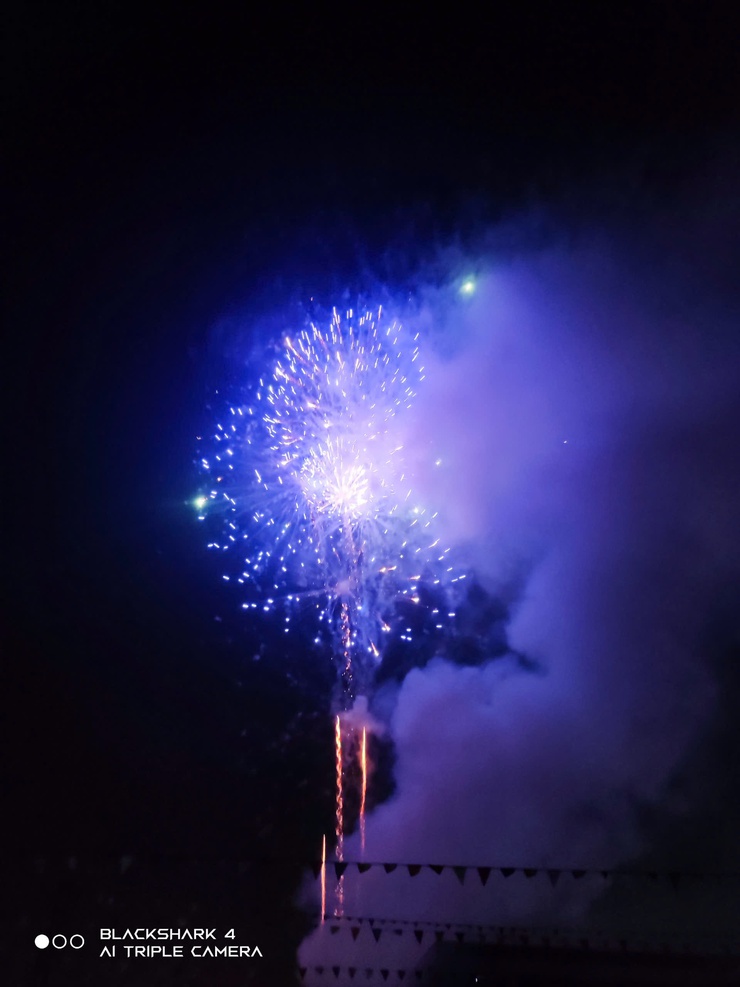 Chương trình nghệ thuật chào xuân Bính Ngọ- Ảnh 11.