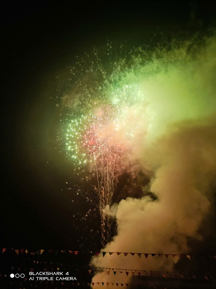 Chương trình nghệ thuật chào xuân Bính Ngọ- Ảnh 13.