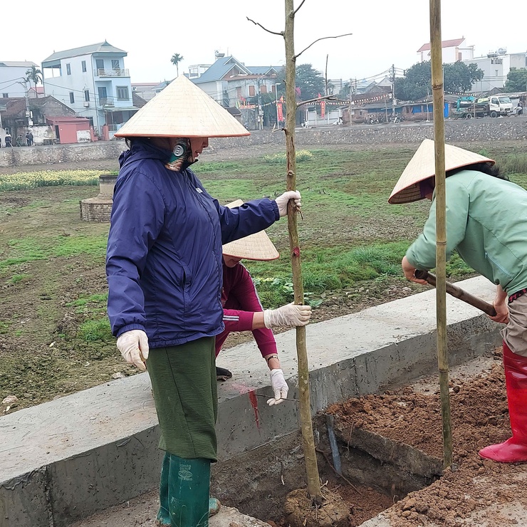 MÙA XUÂN LÀ TẾT TRỒNG CÂY- Ảnh 4.