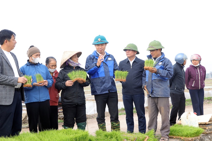 Xã Trần Phú: tổ chức thăm đồng, kiểm tra sản xuất vụ xuân- Ảnh 3.