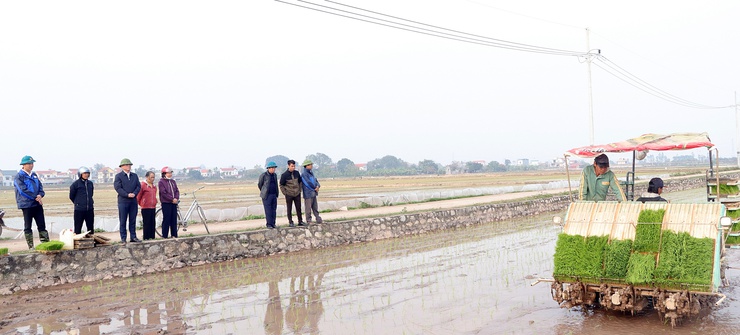 Xã Trần Phú: tổ chức thăm đồng, kiểm tra sản xuất vụ xuân- Ảnh 2.