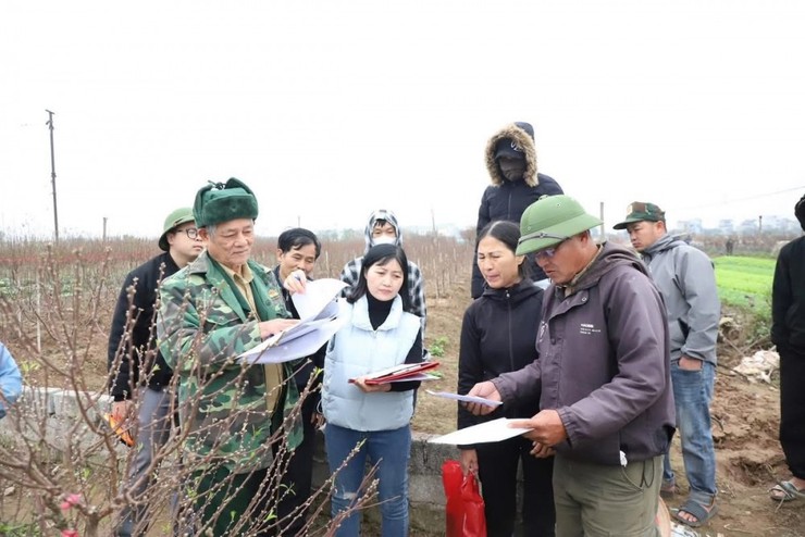 Xã Hồng Vân: Đẩy nhanh khảo sát đất dự án Olympic- Ảnh 1.