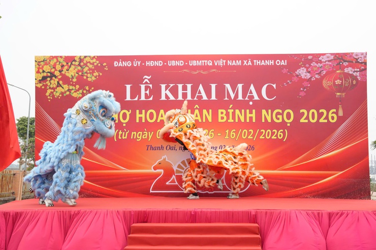 XÃ THANH OAI: TƯNG BỪNG KHAI MẠC CHỢ HOA XUÂN BÍNH NGỌ NĂM 2026- Ảnh 1.