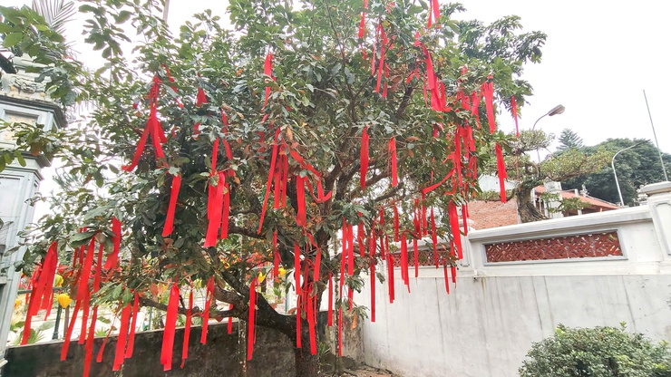 Ngày Xuân đến hội đền Măng Sơn- Ảnh 5.