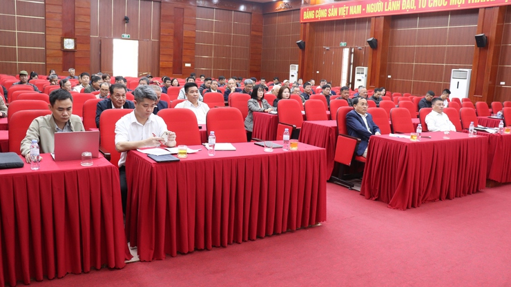 Hội nghị thông báo chủ trương, kế hoạch dự kiến tổ chức đấu giá quyền sử dụng đất khi Nhà nước cho thuê đất - Ảnh 2.