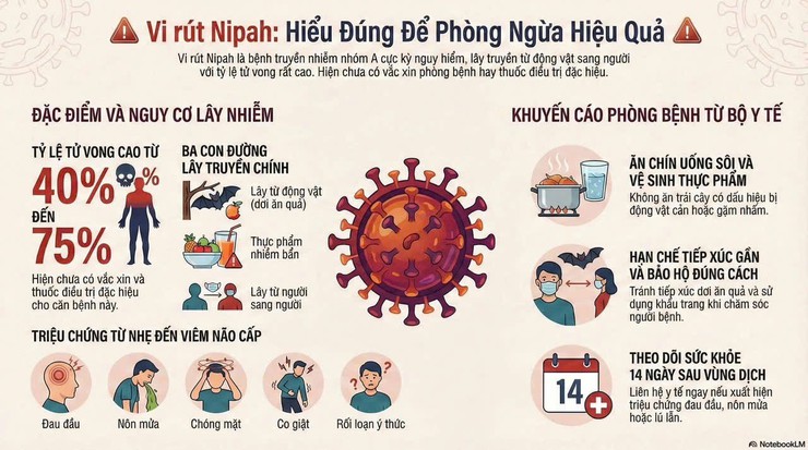 Tăng cường phòng, chống bệnh do vi rút Nipah trên địa bàn xã Chuyên Mỹ- Ảnh 1.