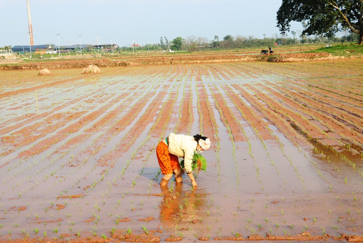 Đồng chí Bí thư Đảng ủy xã kiểm tra công tác bầu cử và sản xuất vụ xuân năm 2026- Ảnh 2.