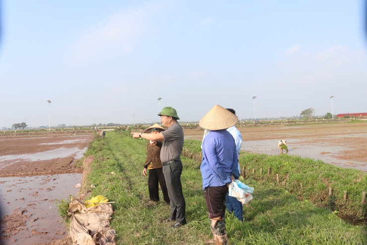 Đồng chí Bí thư Đảng ủy xã kiểm tra công tác bầu cử và sản xuất vụ xuân năm 2026- Ảnh 3.