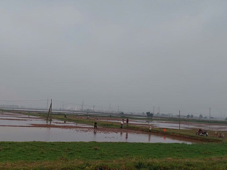 Nông dân xã Chương Dương chuyển không khí Xuân mới vào sản xuất- Ảnh 3.