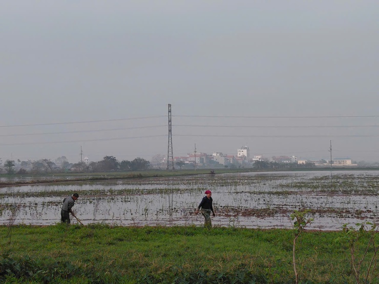 Nông dân xã Chương Dương chuyển không khí Xuân mới vào sản xuất- Ảnh 2.