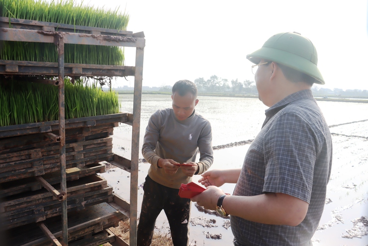 Đồng chí Bí thư Đảng ủy xã kiểm tra công tác bầu cử và sản xuất vụ xuân năm 2026- Ảnh 5.