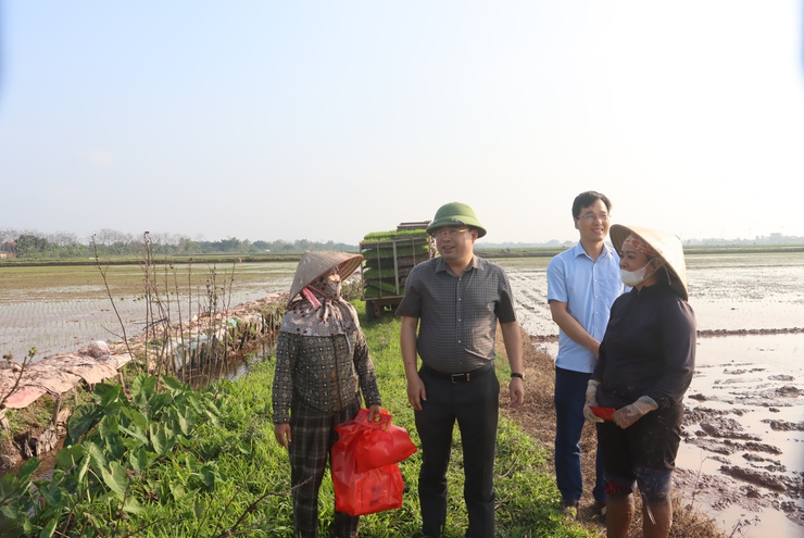 Đồng chí Bí thư Đảng ủy xã kiểm tra công tác bầu cử và sản xuất vụ xuân năm 2026- Ảnh 6.