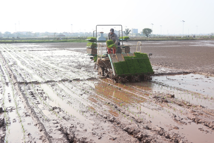 Đồng chí Bí thư Đảng ủy xã kiểm tra công tác bầu cử và sản xuất vụ xuân năm 2026- Ảnh 1.