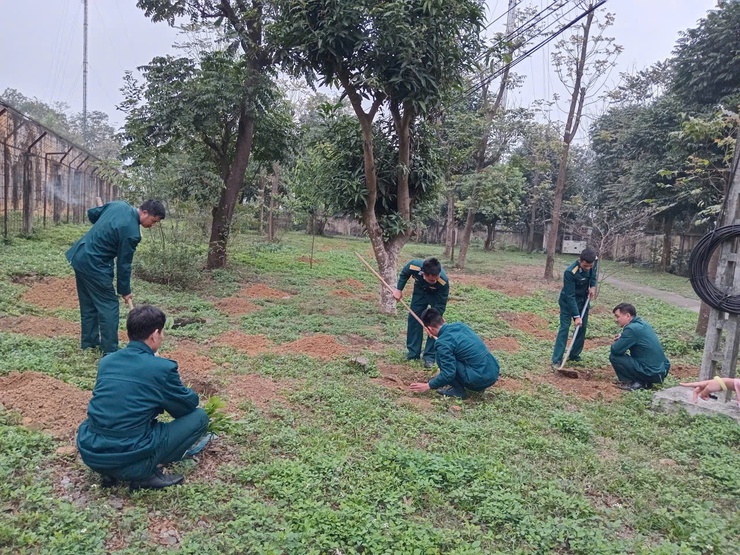 Tiểu đoàn 64, Trung đoàn 260 hưởng ứng phong trào "Tết trồng cây đời đời nhớ ơn Bác Hồ" Xuân Bính Ngọ 2026- Ảnh 3.
