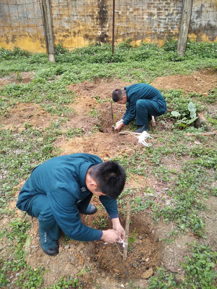Tiểu đoàn 64, Trung đoàn 260 hưởng ứng phong trào "Tết trồng cây đời đời nhớ ơn Bác Hồ" Xuân Bính Ngọ 2026- Ảnh 6.