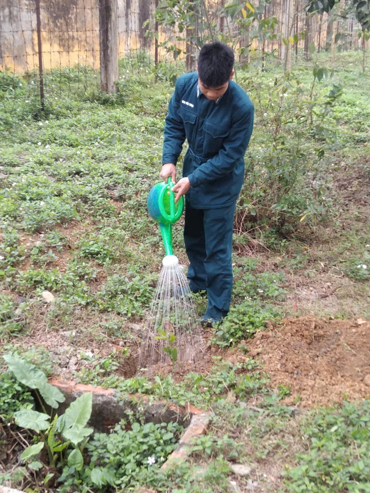 Tiểu đoàn 64, Trung đoàn 260 hưởng ứng phong trào "Tết trồng cây đời đời nhớ ơn Bác Hồ" Xuân Bính Ngọ 2026- Ảnh 7.