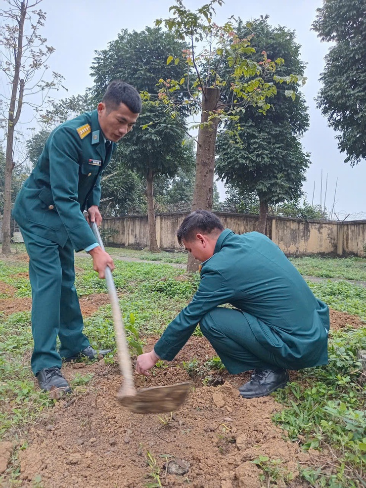 Tiểu đoàn 64, Trung đoàn 260 hưởng ứng phong trào "Tết trồng cây đời đời nhớ ơn Bác Hồ" Xuân Bính Ngọ 2026- Ảnh 5.
