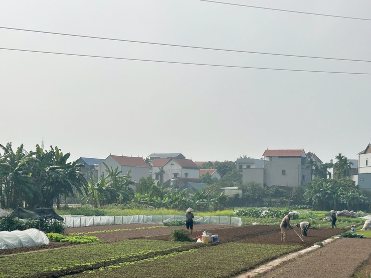 Nông dân Chương Mỹ chuyển không khí Xuân mới vào sản xuất- Ảnh 7.