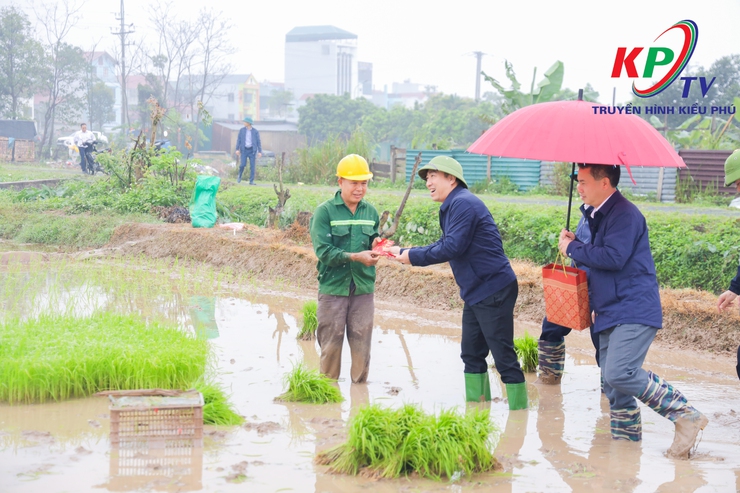 Các đồng chí lãnh đạo xã Kiều Phú kiểm tra tình hình sản xuất vụ Xuân năm 2026.- Ảnh 2.