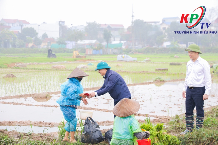 Các đồng chí lãnh đạo xã Kiều Phú kiểm tra tình hình sản xuất vụ Xuân năm 2026.- Ảnh 3.