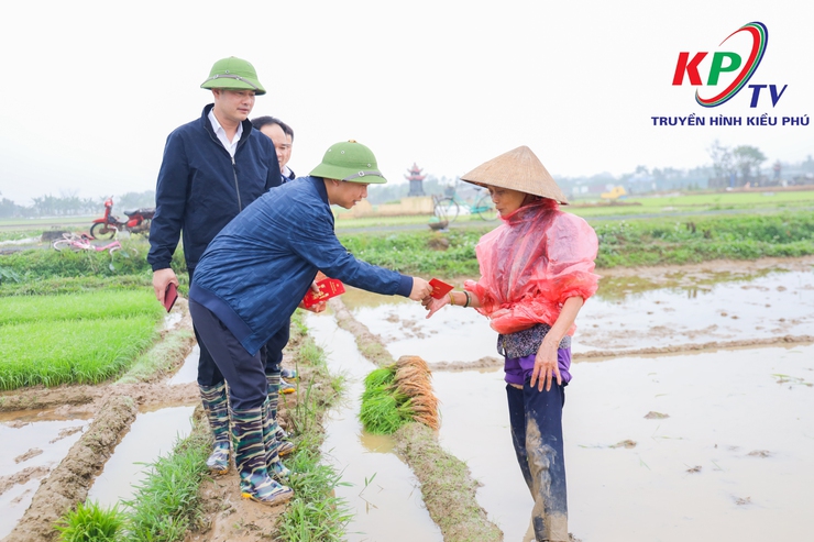 Các đồng chí lãnh đạo xã Kiều Phú kiểm tra tình hình sản xuất vụ Xuân năm 2026.- Ảnh 4.