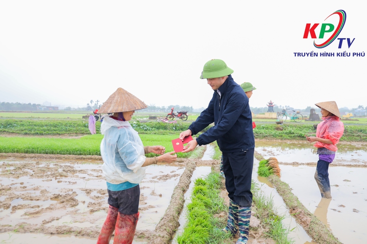 Các đồng chí lãnh đạo xã Kiều Phú kiểm tra tình hình sản xuất vụ Xuân năm 2026.- Ảnh 6.