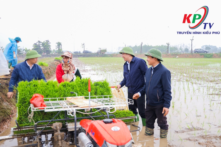 Các đồng chí lãnh đạo xã Kiều Phú kiểm tra tình hình sản xuất vụ Xuân năm 2026.- Ảnh 11.