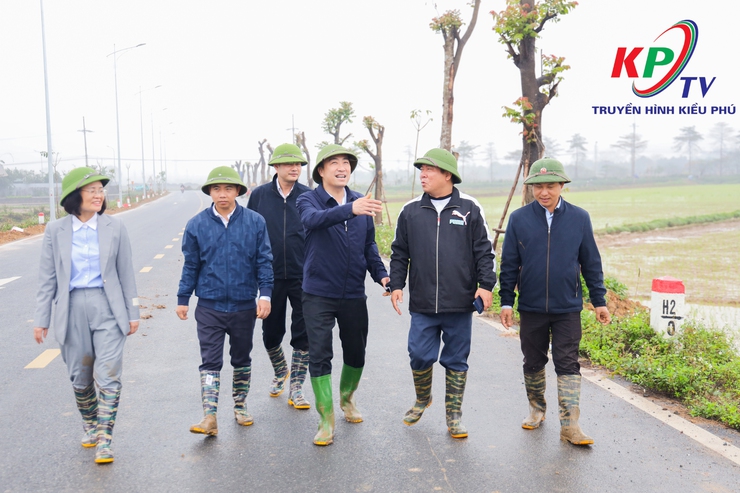 Các đồng chí lãnh đạo xã Kiều Phú kiểm tra tình hình sản xuất vụ Xuân năm 2026.- Ảnh 8.