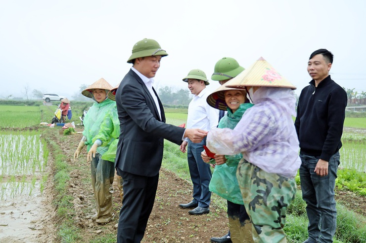 Đồng chí Chủ tịch UBND xã Xuân Mai Nguyễn Anh Đức xuống đồng động viên nông dân sản xuất vụ Xuân 2026- Ảnh 2.