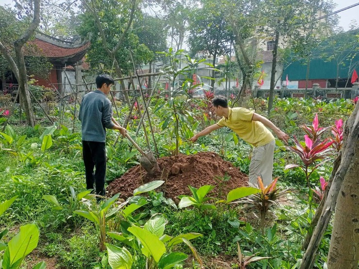 Dương Hoà phát động “Tết trồng cây đời đời nhớ ơn Bác Hồ” Xuân Bính Ngọ 2026- Ảnh 11.