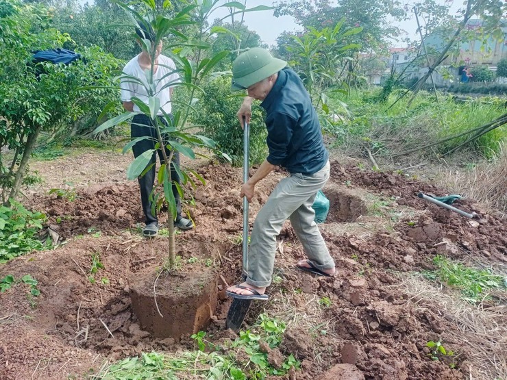 Dương Hoà phát động “Tết trồng cây đời đời nhớ ơn Bác Hồ” Xuân Bính Ngọ 2026- Ảnh 12.