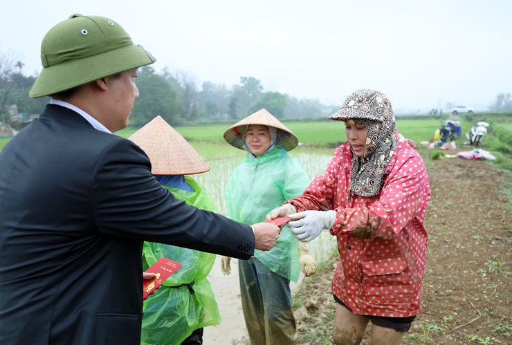 Đồng chí Chủ tịch UBND xã Xuân Mai Nguyễn Anh Đức xuống đồng động viên nông dân sản xuất vụ Xuân 2026- Ảnh 4.