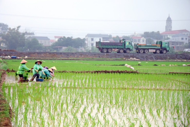 Đồng chí Chủ tịch UBND xã Xuân Mai Nguyễn Anh Đức xuống đồng động viên nông dân sản xuất vụ Xuân 2026- Ảnh 6.