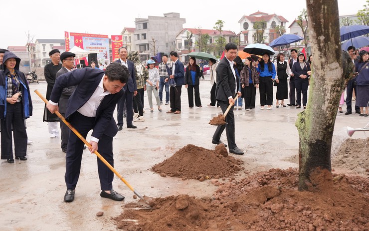 Xã Bát Tràng phấn đấu trồng trên 3.000 cây xanh, cây bóng mát năm 2026- Ảnh 4.