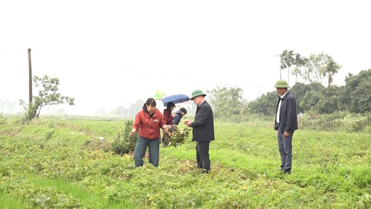 Chủ tịch UBND xã Mỹ Đức kiểm tra tình hình sản xuất nông nghiệp đầu xuân- Ảnh 1.
